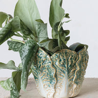 Stoneware Cabbage Planter