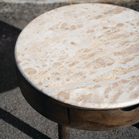 Brown 2 Door Coffee Table with Marble top