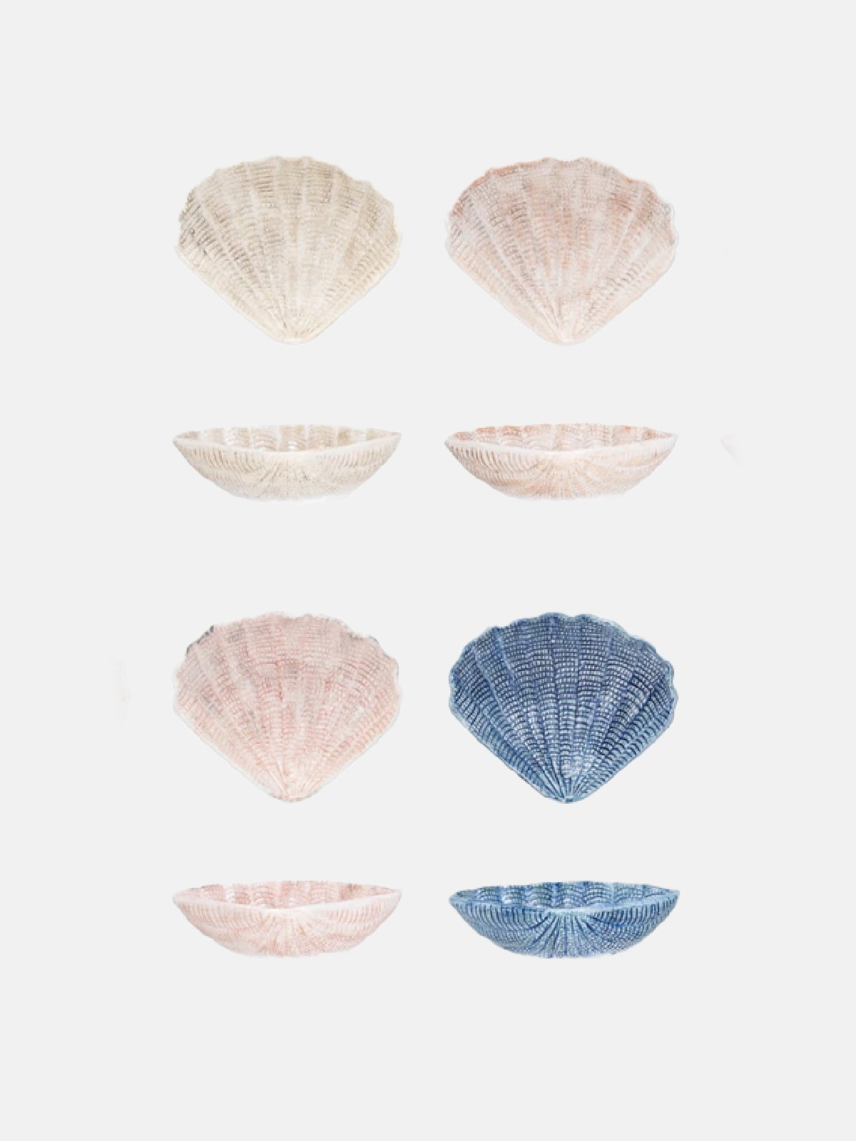Shell Bowl Set