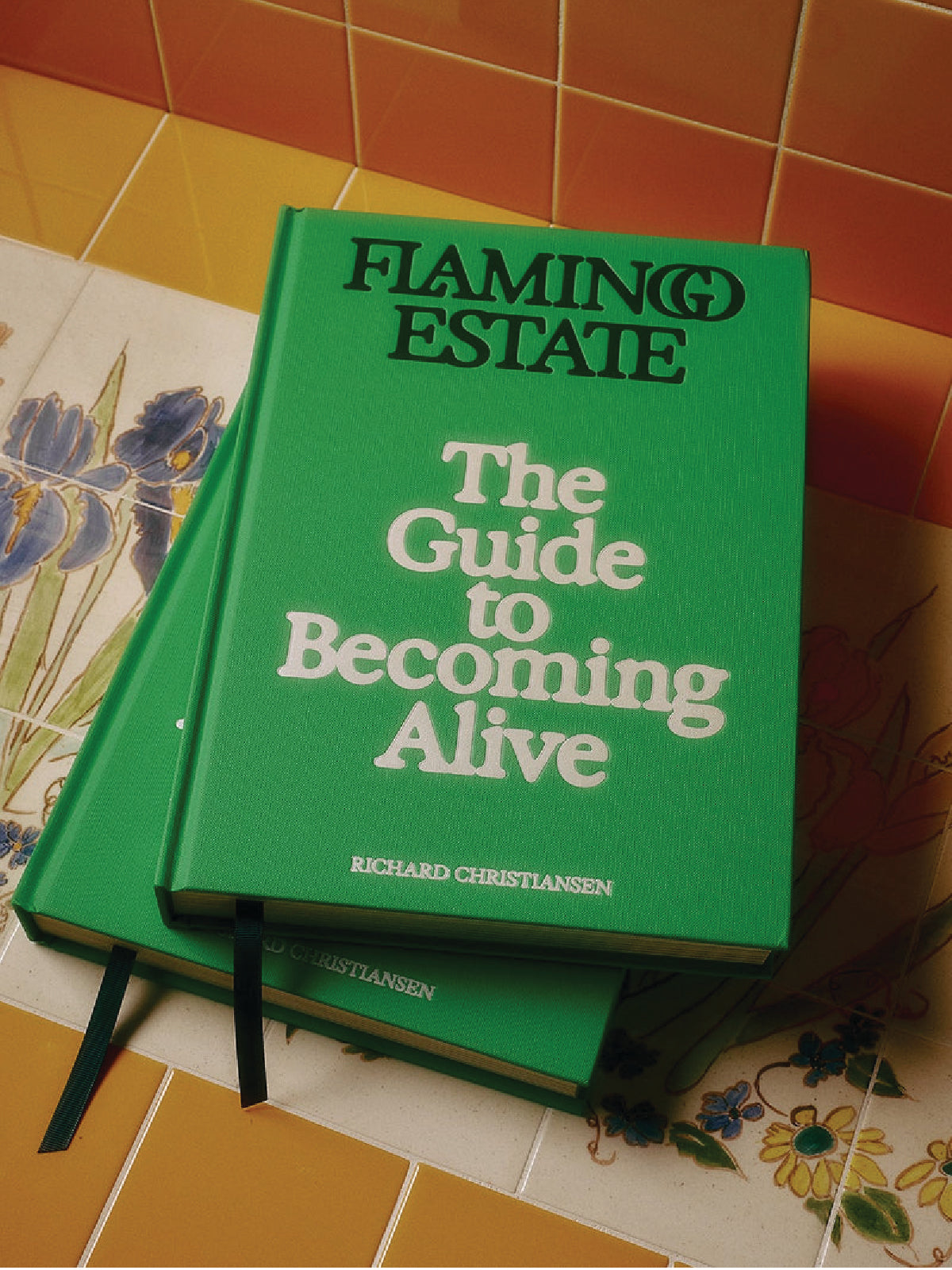 The Guide To Becoming Alive Book