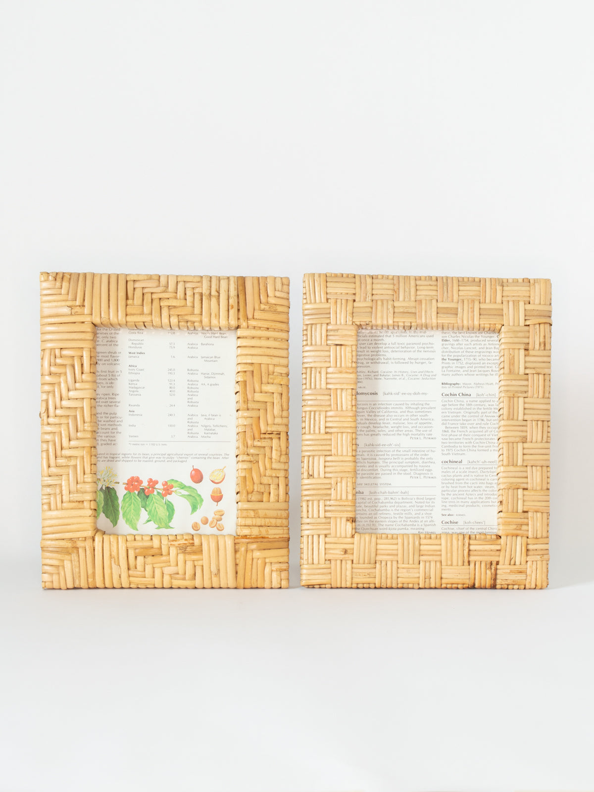 Large Rattan Woven Frame