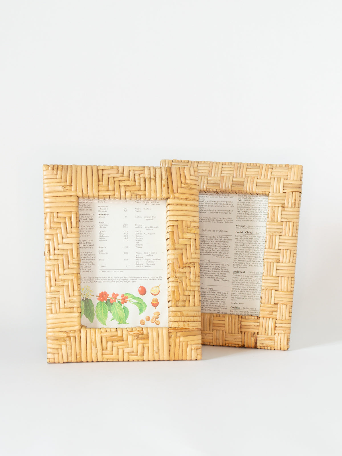 Large Rattan Woven Frame